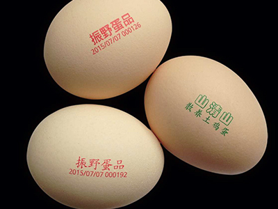 egg shell coding with food grade inkjet printer for traceability